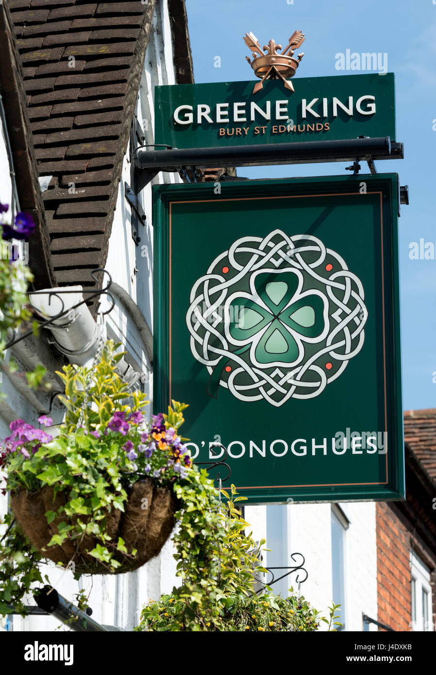 O`Donoghues pub sign, Marlow, Buckinghamshire, England, UK Stock Photo